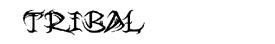 Tribal Wild style writing