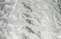 SILVER LEAF
